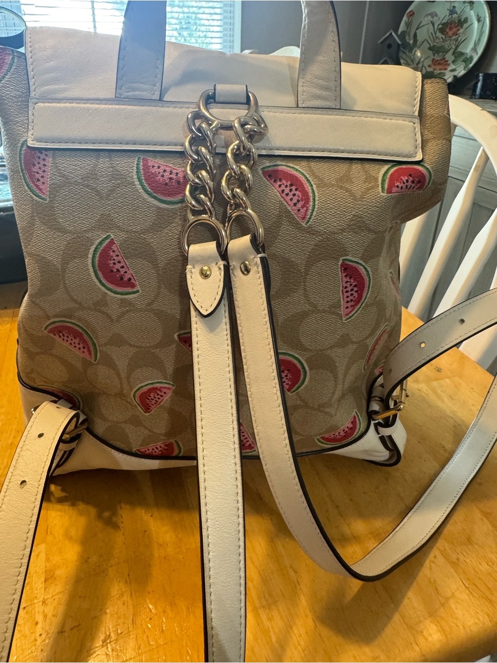 Coach Watermelon Print Signature Canvas Drawstring Backpack - White/Tan - Picture 2 of 9
